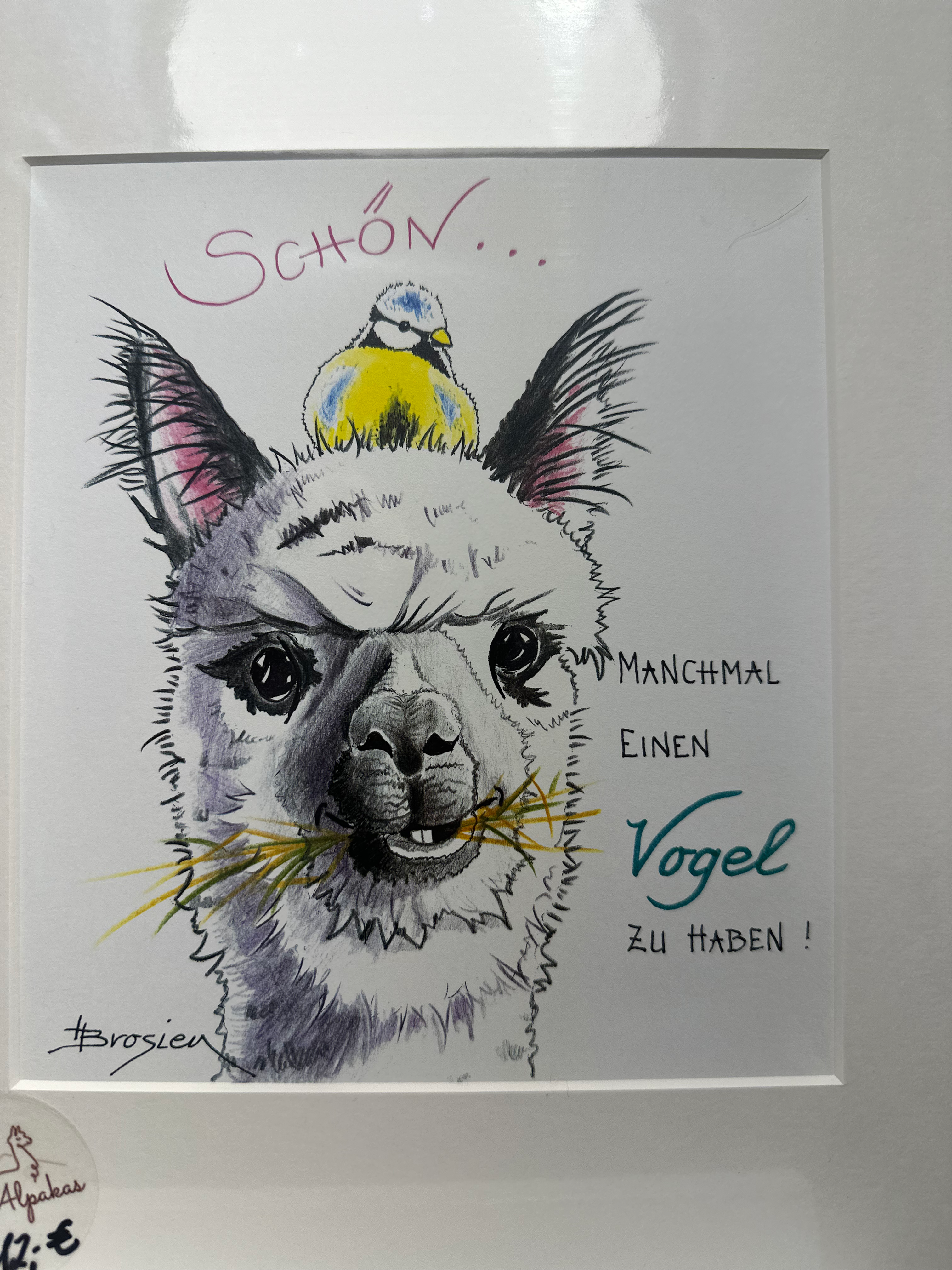 Passepartout Alpaka Bild von Heidemarie Brosien