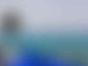 Camel Treks and the Medina: A Week in Tunisia