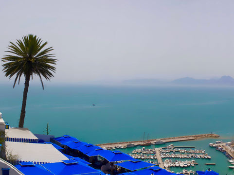 Camel Treks and the Medina: A Week in Tunisia