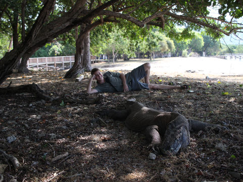 Sleepy Lizards and Happy Children: a Quick Escape to Flores