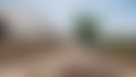 Portes obertes al Maset de la Costa