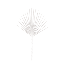 palma white.png