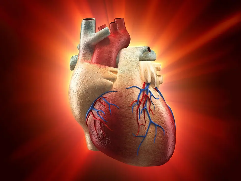 Repairing a Broken Heart: The Potential of Heart Failure-Related Engineered Muscle