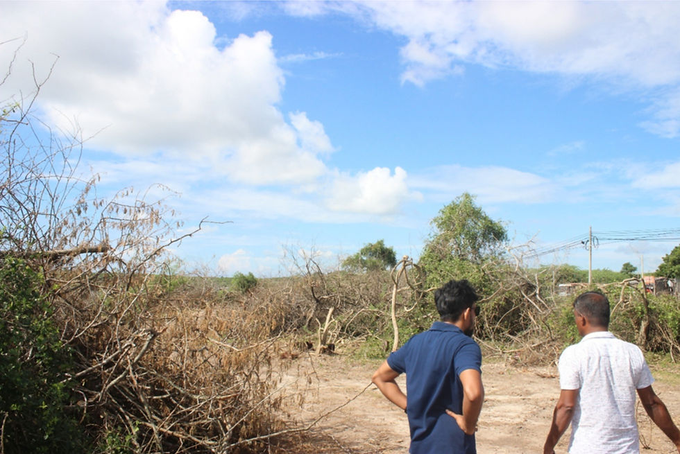 Sri Lanka Mesquite Residues (10TPD)