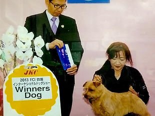 表彰された犬