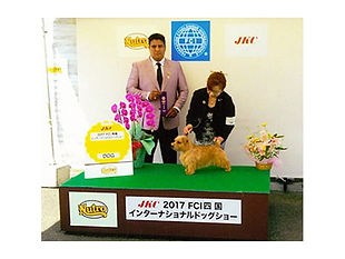 インターナショナルドッグショー