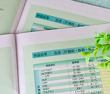 検査結果