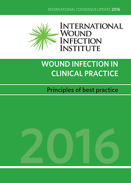 IWII 2016 Cover.png