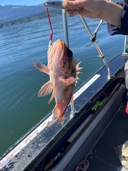 Image_20250624131509