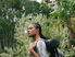 Zambia's Natural Beauty: Uncovering the Best Places for Plant Enthusiasts to Explore