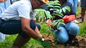 Wildlife and Environmental Conservation