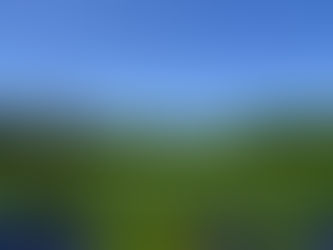 Invasive Species Week - February 20th to 26th