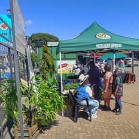 Mayo Agro Services
