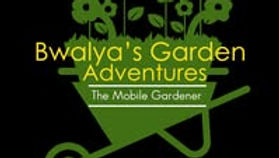 Bwalya's Garden Adventure