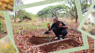 Almost Everything You Need to Know About How and Why to Plant Trees, in Zambia