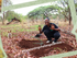 Almost Everything You Need to Know About How and Why to Plant Trees, in Zambia