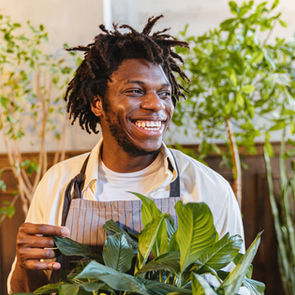 How to Look After Indoor Plants in an Office Setting