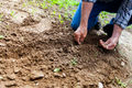 It starts with the soil