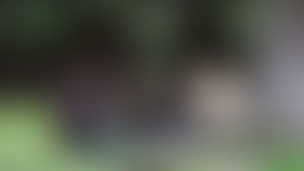 Surviving and thriving as an international student