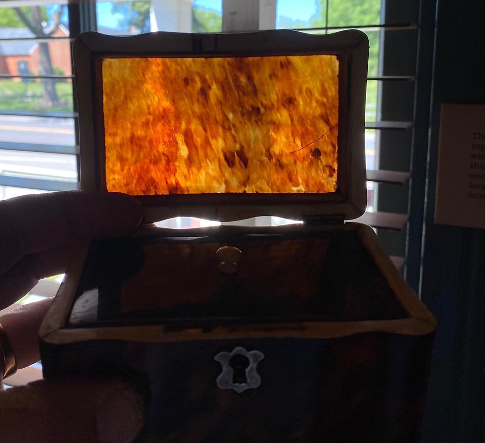 Thumbnail: 19th Century English Tortoiseshell Tea Caddy with Bone Feet and Interior