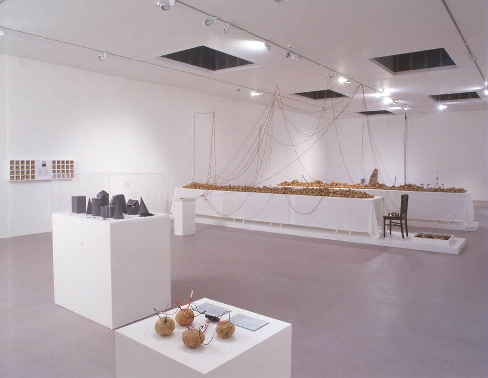 3.Issaac Julien Paradise Omeros_2002.png