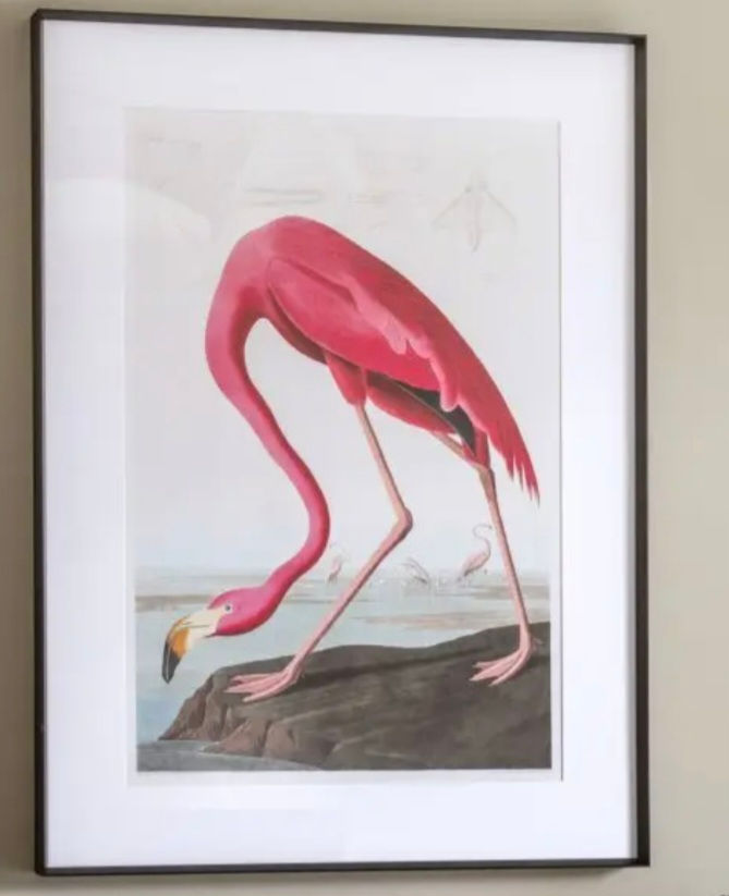 Screenshot_20260425_134518_Chrome