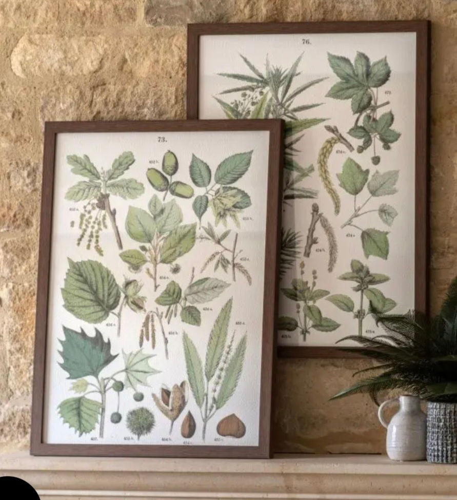 Screenshot_20260425_134301_Chrome