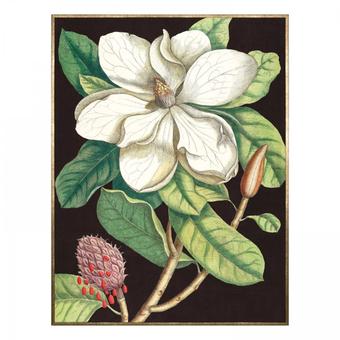 5015807059781_1_31032025015938_j