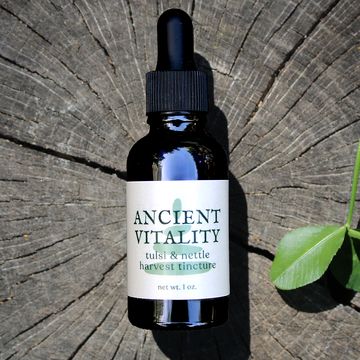 Ancient Vitality