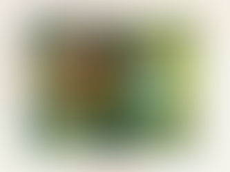 Behind the Print: “Mandarin Duck”
