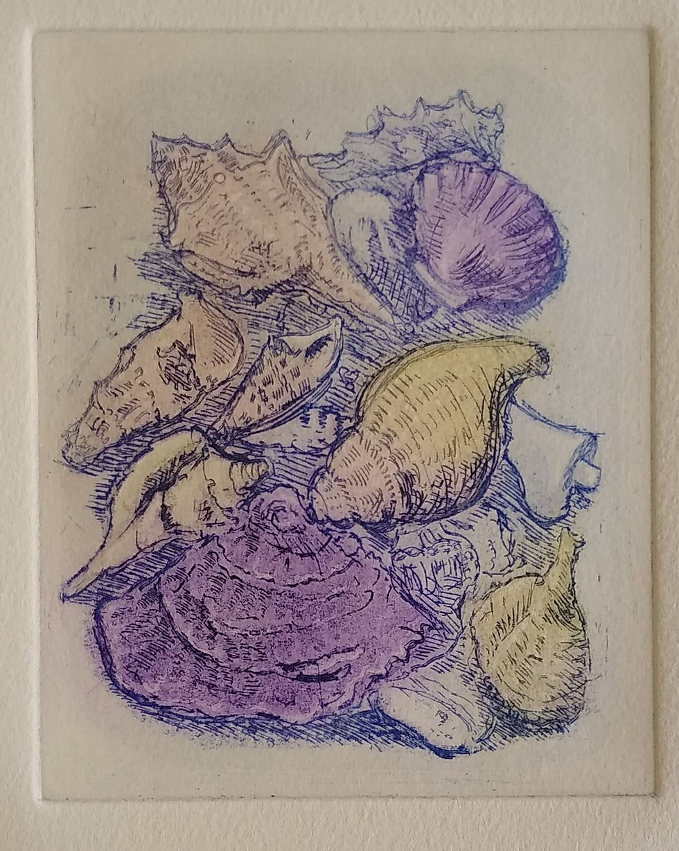 Different types of shells outlined in blue in shades of orange, yellow and purple