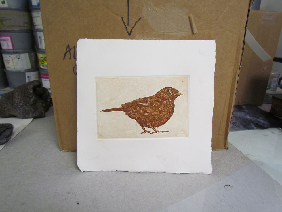 A proof of a brown etching of a small Dunnock bird is propped up against a cardboard box. Etching by Tim Mitchell