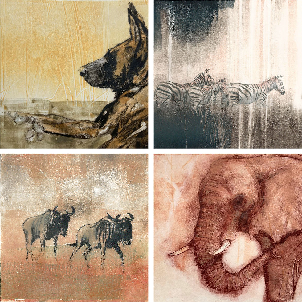 Four of Polly Hosp's Africa-inspired prints. Top left is a painted dog, top right is a herd of zebras, bottom left are some buffalo and bottom right is an elephant.