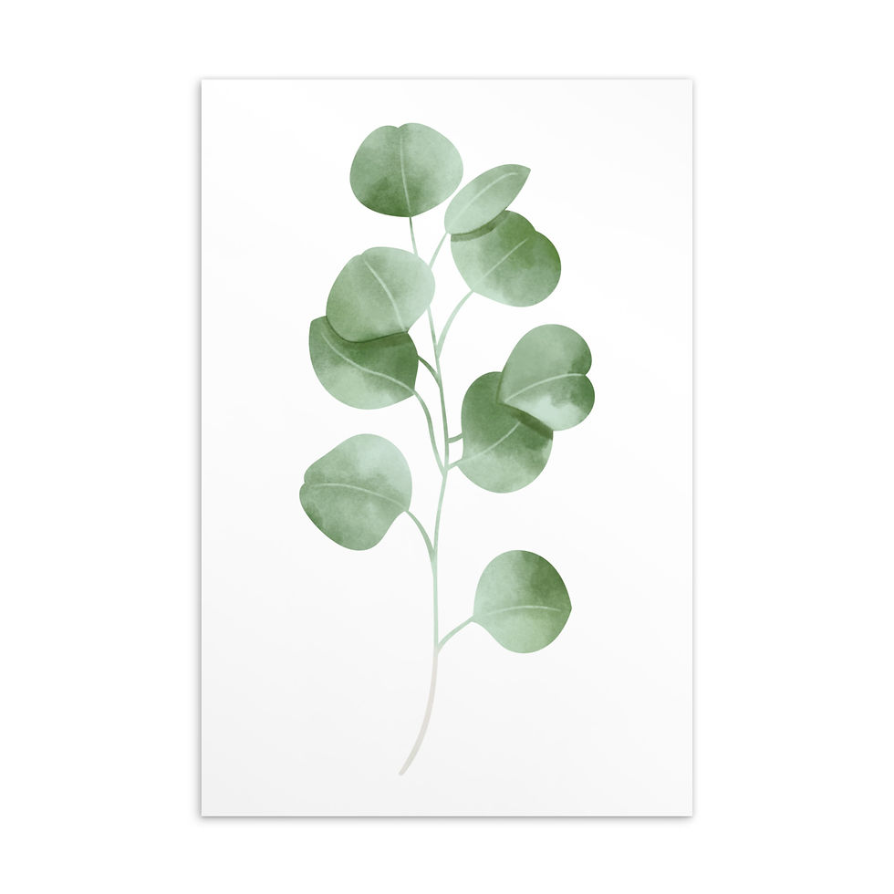 Minimal Botanical Eucalyptus Leaf Art Print Postcard 4 x 6" (10 x 15cm)