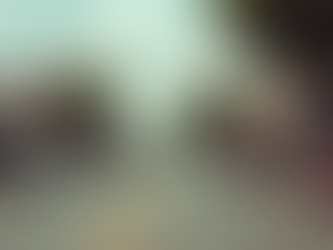 Arkansas Election Insights: Key Factors in the Arkansas State Representative Race