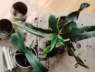 The Strange Feeling of Outgrowing a Life That Isn’t Broken