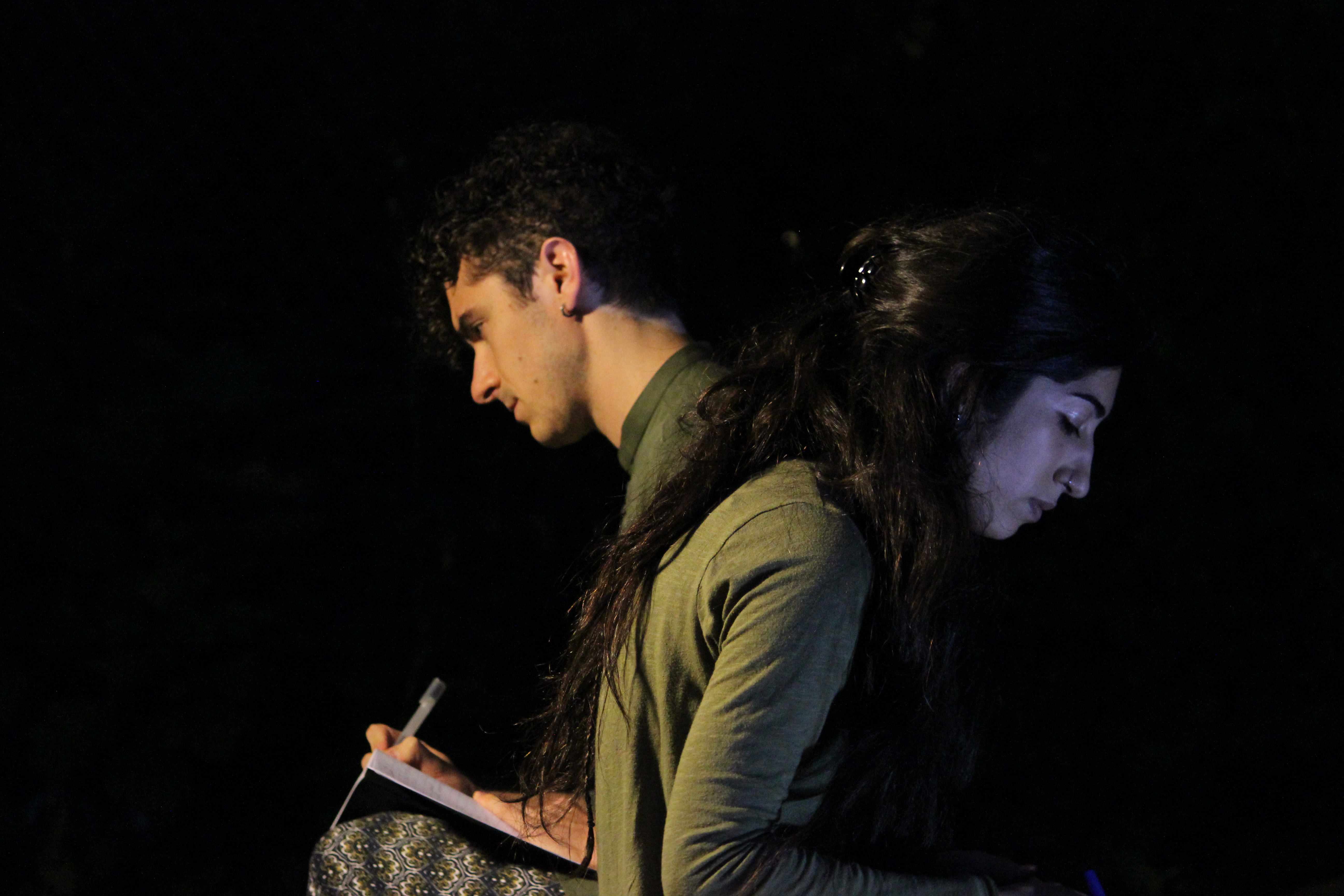 Murmurs: performance #1, and #2