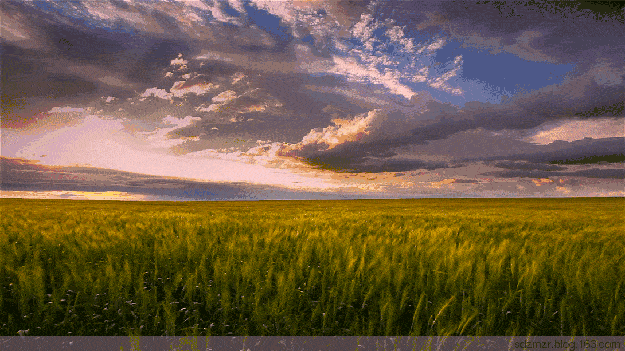 t01bdb37a7dcb610f63.gif