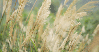 3df8e425a8f59b5dcb8185e538d374ff.gif