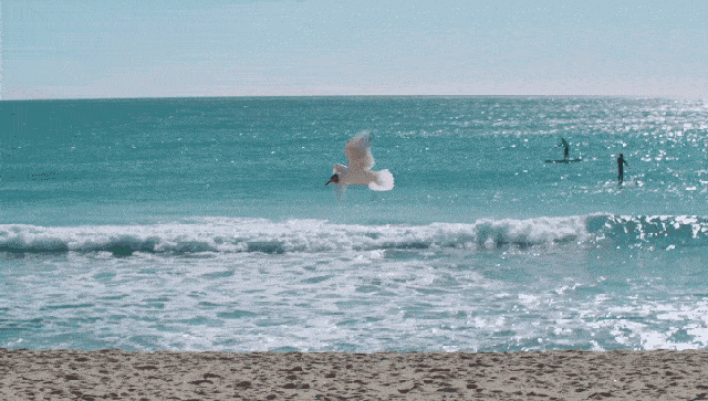 74a741c6fd664f51994a5659f43e3759.gif