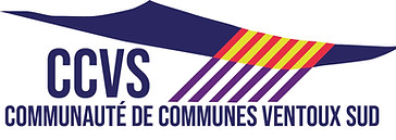 LOGO-CCVS-2025-HD.jpg