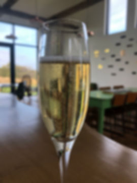 Sparkling Cider Prince Edward County, Ontario. Traditional Method cider