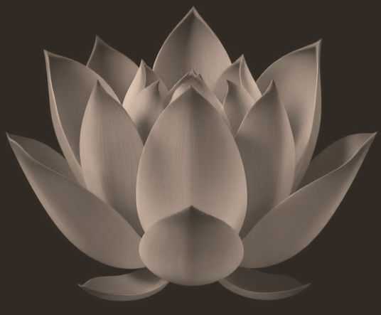 dark charcoal gray background with a teal lotus flower shaded in the background.jpg