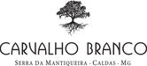 logo carvalho (1).pdf.pdf.png