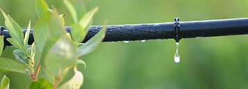 Drip Irrigation Setup