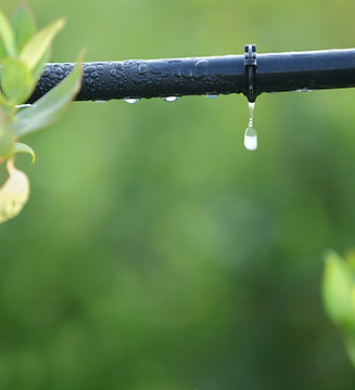 Plant & Irrigation System showing drop of water coming from hose to water garden