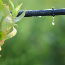 Irrigation →