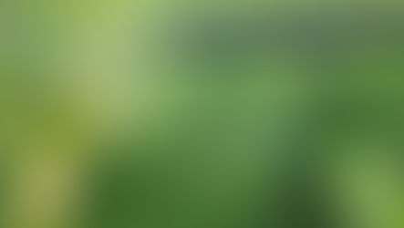 Seeds of empowerment being planted