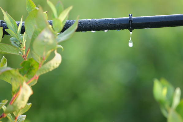 万病に効く　奇跡の水