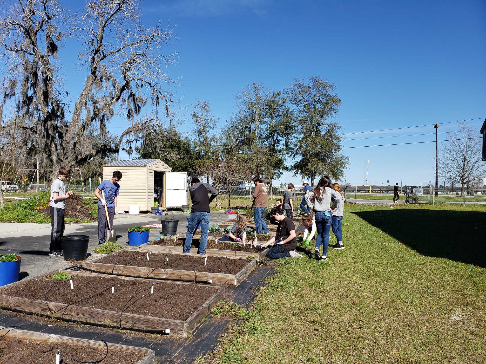 Community Garden | Valdosta | Living Bridges Ministry